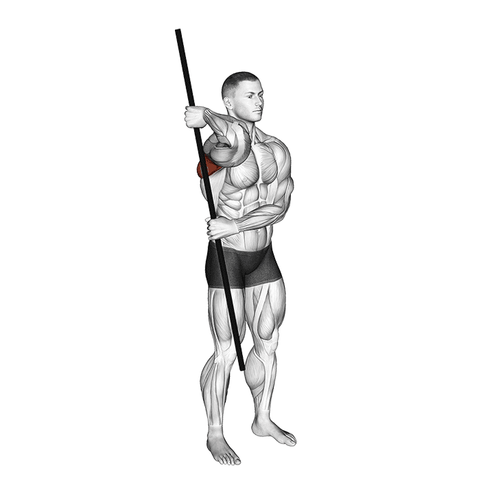 PVC External Rotation exercise demonstration for Back, Body weight