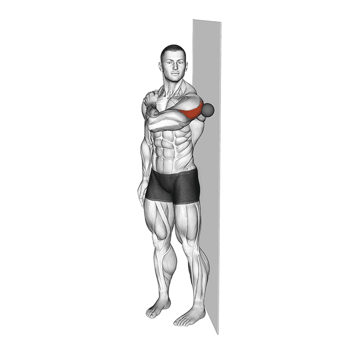 Roll Ball Deltoid Posterior exercise demonstration