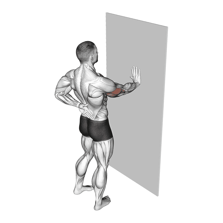 Single Arm Push-up Supported Wall exercise demonstration