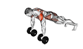 Dumbbell Front Plank Arm Raise exercise demonstration for Waist, Dumbbell
