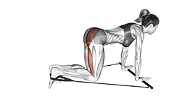 Bar Band Kneeling Single Leg Kick exercise demonstration