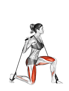 Bar Band Split Squat exercise demonstration