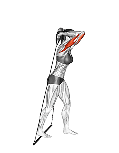 Bar Band Standing Triceps Extension exercise demonstration