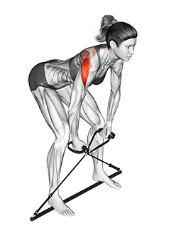 Bar Band Bent Over Rear Delt Fly exercise demonstration