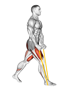 Resistance Band Split Squat exercise demonstration for Quadriceps, and Thighs, Resistance Band