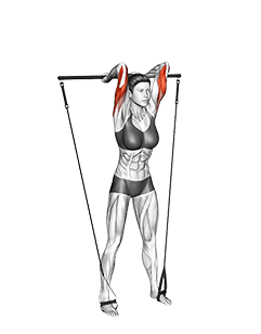 Bar Band Overhead Triceps Extension exercise demonstration