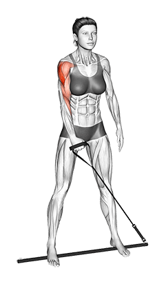 Bar Band Standing Single Arm Upright Row exercise demonstration for Shoulders, Stick