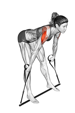 Bar Band Skier exercise demonstration