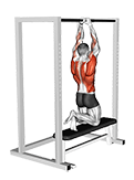 Assisted Commando Pull-up exercise demonstration for Back, and Waist, Body weight