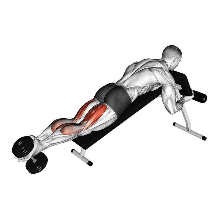 Dumbbell Decline Lying Leg Curl exercise demonstration