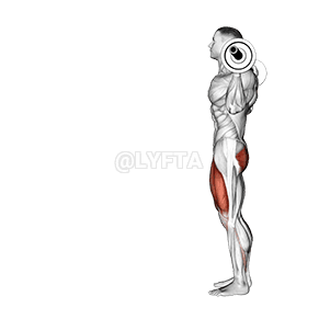 Lunge demonstration
