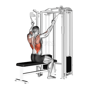 Twin handle parallel grip lat pulldown demonstration
