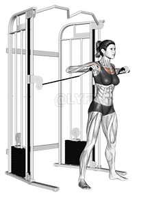 Cable Standing Chest Press demonstration