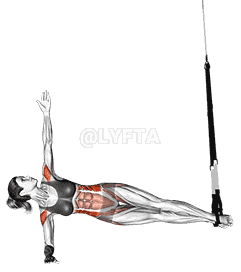 Suspension Twist Side demonstration