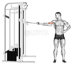 one arm inner biceps curl demonstration