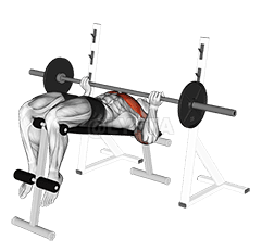 Reverse Grip Decline Bench Press demonstration