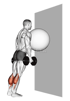 Exercise Ball on the Wall Calf Raise demonstration