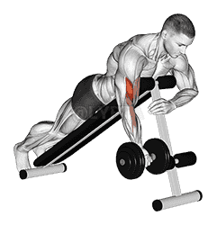 Dumbbell One Arm Prone Curl demonstration