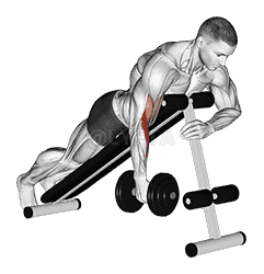 Dumbbell One Arm Prone Hammer Curl demonstration