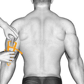 Body fat measurement demonstration