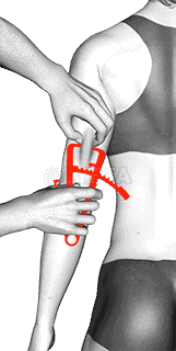 Body fat measurement demonstration