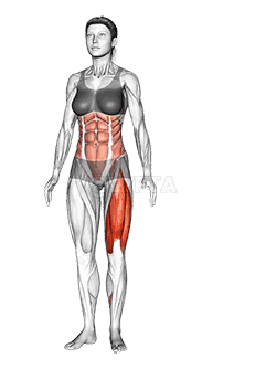 Single Leg Transverse Bend demonstration