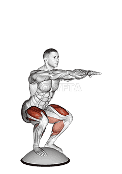 Squat On Bosu Ball demonstration