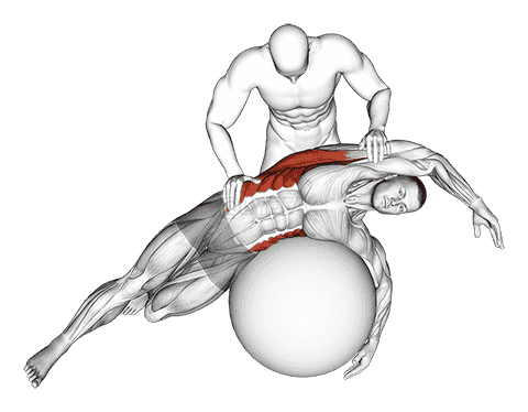 Assisted Oblique And Latissimus Dorsi Stretch On Stability Ball demonstration