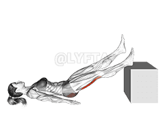 Lying Single Straight Leg Hip Extension demonstration