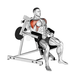 Lever Lateral Raise demonstration