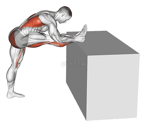 Raised Leg Knee Flexor Stretch demonstration