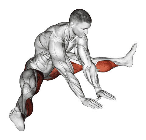 Seated Knee Flexor And Hip Adductor Stretch demonstration