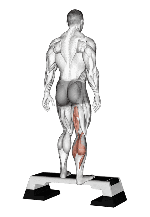 Plantar Flexor And Foot Inverter Stretch demonstration