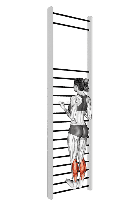 Tibial Flexion Stretch On Wall Bar demonstration