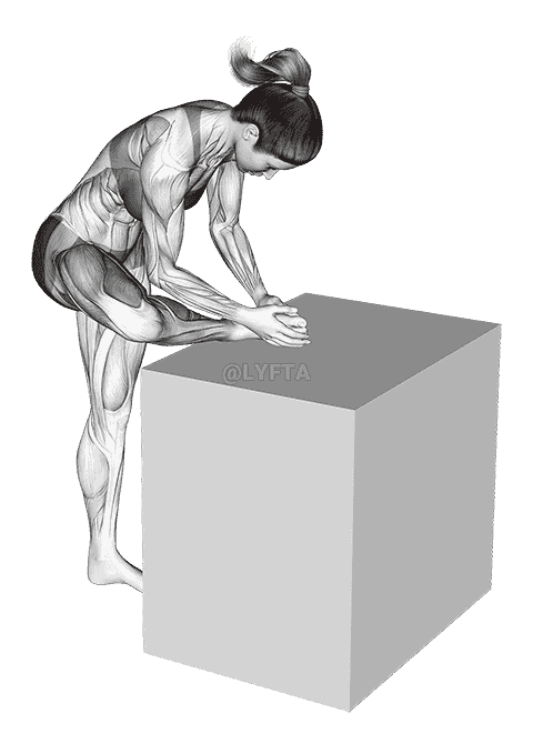 Hip External Rotator Stretch demonstration