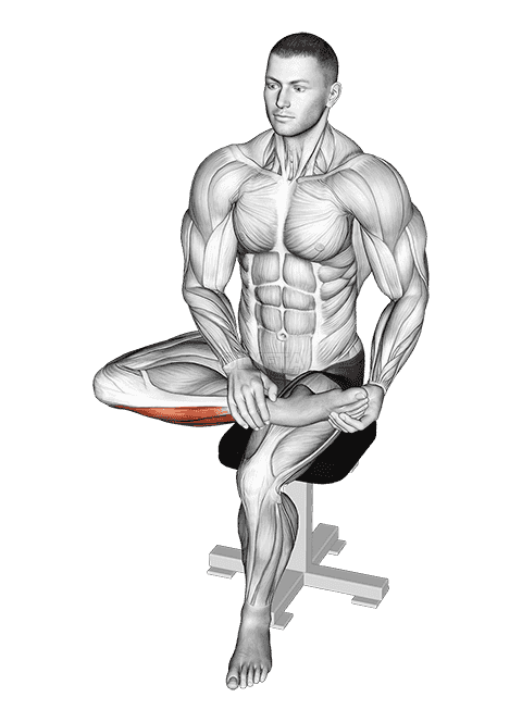 Seated Toe Extensor And Foot Everter Stretch demonstration