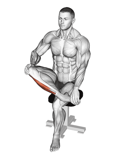 Mobilization Of Ankle Stretch demonstration