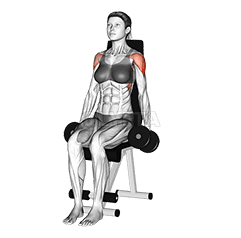 Dumbbell Seated Lateral Raise demonstration