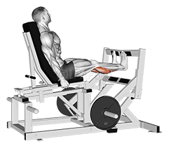 Lever Calf Press demonstration