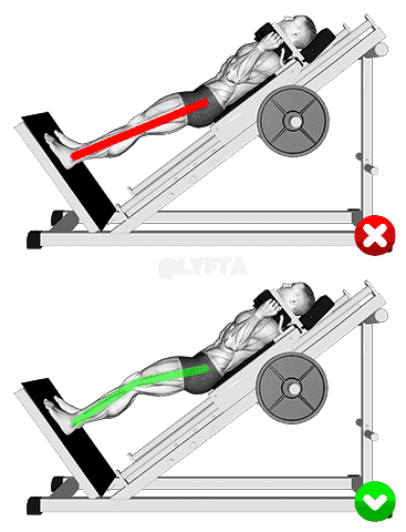 Sled Hack Squat - Legs demonstration