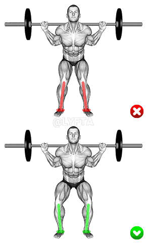 Barbell Squat - Knees - Middle position demonstration