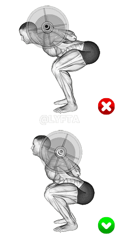 Barbell Squat - Hips demonstration