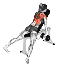 Dumbbell Incline Row demonstration