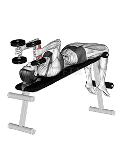 Dumbbell Decline Triceps Extension demonstration