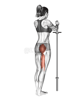 Standing Hip Extension demonstration