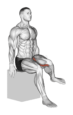 Hip - Lateral Rotation demonstration