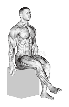 Hip - Medial Rotation demonstration