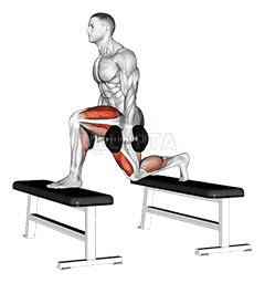 Dumbbell Step-up Lunge demonstration
