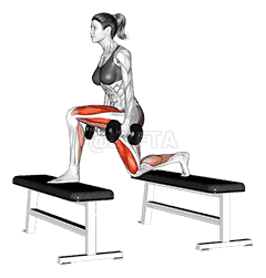 Dumbbell Step-up Lunge demonstration