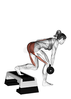 Dumbbell Single Leg Deadlift with Stepbox Support demonstration